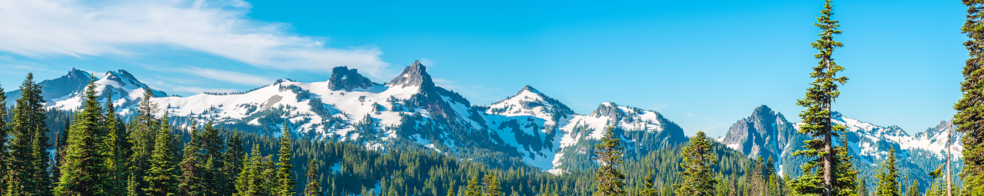 Mount Rainier national park